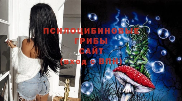 COCAINE Богородск