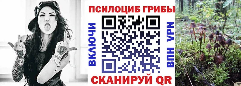 darknet официальный сайт  Можайск  Псилоцибиновые грибы мухоморы  купить наркотик 
